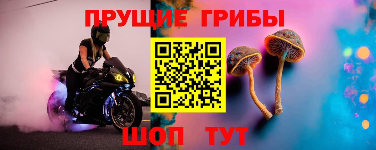 Дербент  Псилоцибиновые грибы мицелий  Вход с VPN 